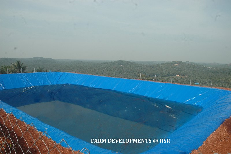 Water harvesting (2).jpg